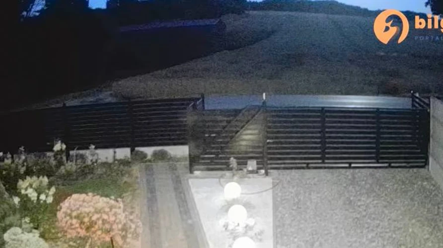 Скриншот нічного відео з камери спостереження, на якому видно спалах від падіння об'єкта
