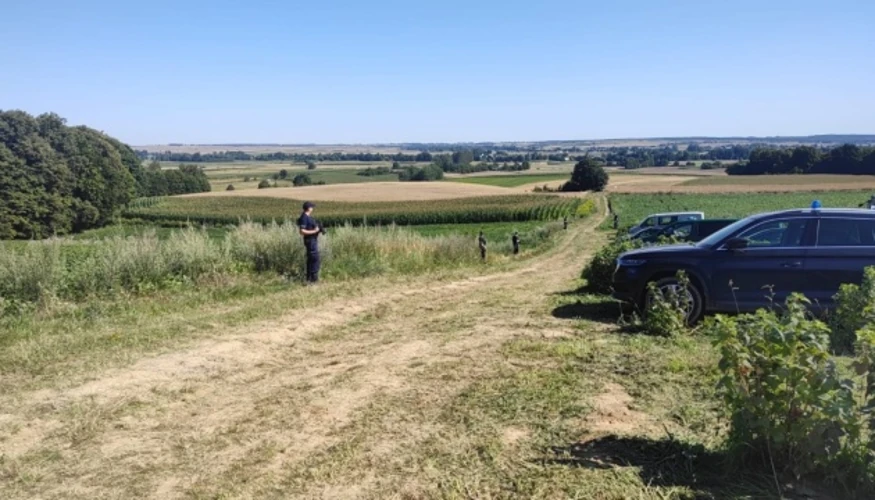 У Польщі після падіння російської ракети X-101 фіксують дві кампанії дезінформації